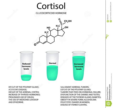 chemical molecular formula of the hormone cortisol the hormone of the