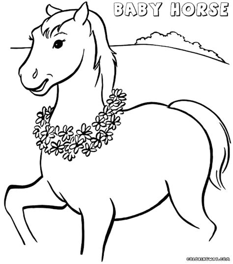 unique baby horse coloring pages images kids children  adult