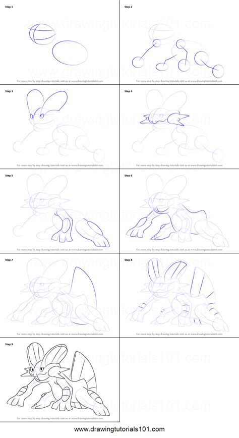 draw swampert  pokemon printable step  step drawing sheet