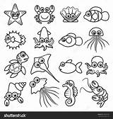 Animals Colouring Aquatic Creature Underwater Sketches Paintingvalley Books Shutterstock sketch template