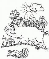 Coloring Pages Pig Pigs Printable Kids Farm sketch template