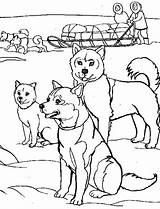 Husky Ausmalbilder Puppy Huskies sketch template
