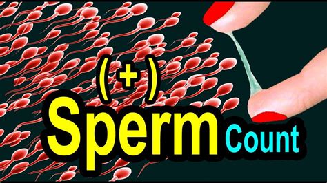 top 10 foods which increase sperm count semens volume fertility