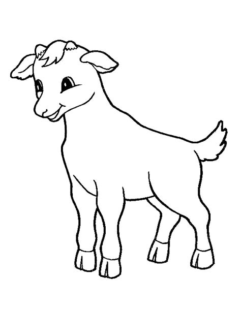 coloring page tiny goat