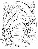 Pesci Colorat Kleurplaten Krab Ribe Desenhos Bojanke Colorir Crtež Animale Raci Mewarnai Kepiting Malvorlagen Krabbe Riba Caranguejo P14 Crabe Zivotinje sketch template
