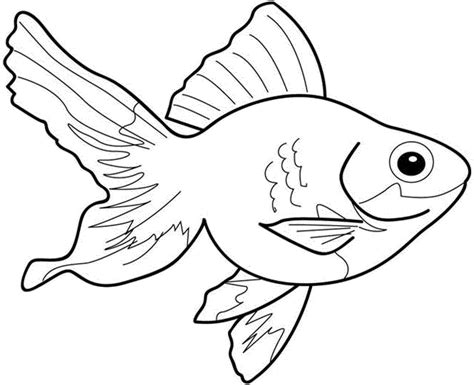 fish drawing  colouring  getdrawings