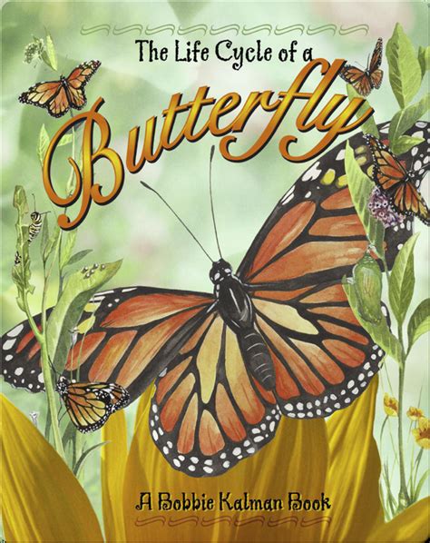 life cycle   butterfly childrens book  bobbie kalman