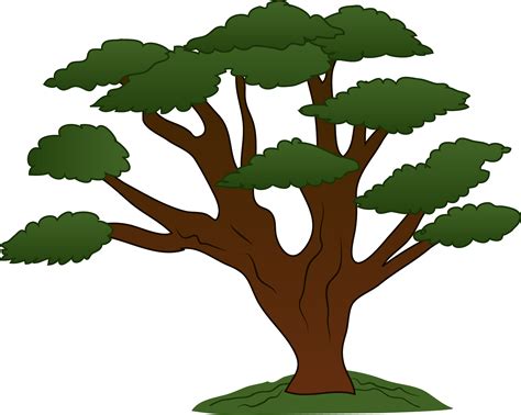 tree cartoon png clipartsco