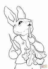 Rabbit Peter Coloring Pages Printable Eating Cottontail Radishes Beatrix Potter Print Colouring Color Printables Jessica Tale Crafts Nick Jr Supercoloring sketch template