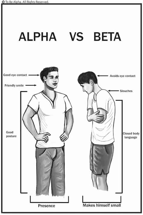 alpha male  beta male spice grade