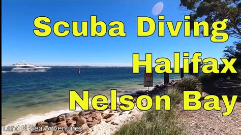 scuba diving halifax nelson bay youtube