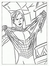 Spiderman Ragno Panni Dell Disegni Colorare sketch template