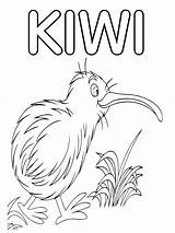 Kiwi Recognized sketch template