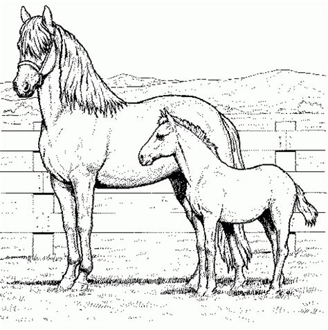 easy printable horses coloring pages  children ptyqx