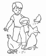 Dando Chores Gallinas Chickens Huhn Dibujo Comiendo Doing Pollito Animal Malvorlagen Granjeros sketch template