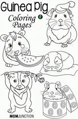 Guinea Pig Coloring Pages Printable Pigs Book Care Print Kids Cute Ginnie Adorable Template Animal Comments Momjunction Coloringhome Choose Board sketch template