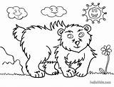 Pages Coloring Bear Grizzly Color Print Hellokids Printable Animals Animal Forest Getcolorings sketch template