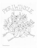 Periwinkle Coloring Pages Getcolorings sketch template