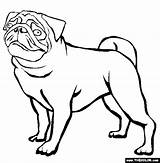 Pug Coloring Pages Dogs Online Printable Printables Outline Thecolor Color Dog Colouring Animals Activities Clipart Pugs Cute Puppy Puppies Pig sketch template