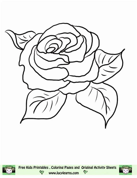 rose coloring page printable flower coloring page