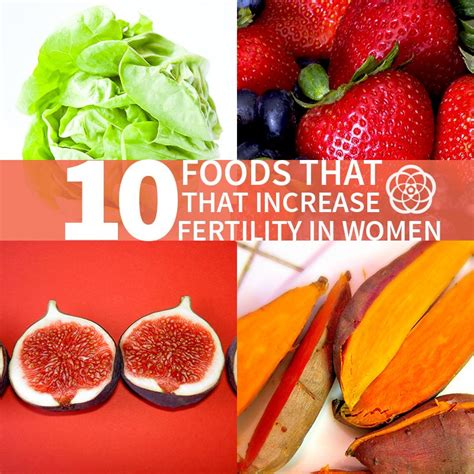 10 Foods That Increase Fertility And Libido In Women