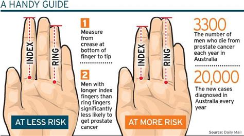 Finger Length And The Casanova Pattern Boston Testosterone Partners