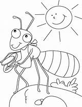 Ant Coloring Pages Kids Animal Ants Summer Activities Insects Preschool Crafts Boyama Sheets Cute Bestcoloringpages Printable Letter Karınca Picnic Choose sketch template