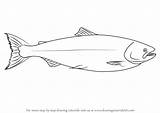 Salmon Draw sketch template