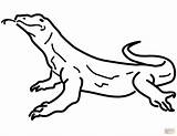 Lizard Coloring Pages Realistic Color Printable Lizards Getcolorings Print sketch template