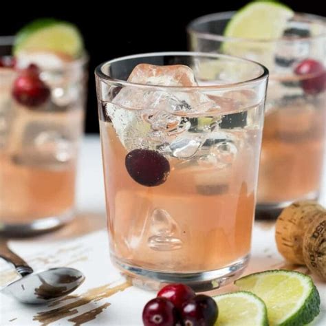 Sparkling Cranberry Gin Christmas Cocktails Garnish With Lemon