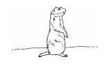 Prairie Dog Coloring Pages Lone sketch template