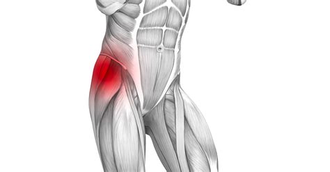 muscle strain injuries   thigh  iberia la orthopedic surgery wm andre cenac md