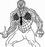 Venom Aranha sketch template