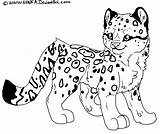 Leopard Coloring Pages Print Snow Animals Cartoon Drawing Printable Cute Clipart Color Kids Animal Leopards Clouded Drawings Clip Library Popular sketch template