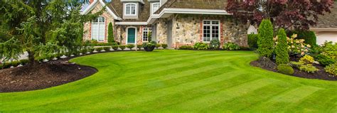 seattle lawn care   hot summer months