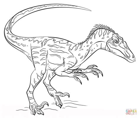 velociraptor coloring page  printable coloring pages