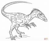 Velociraptor Kleurplaten Kleurplaat sketch template