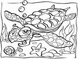Coloring Ocean Scene Pages Animal Popular sketch template