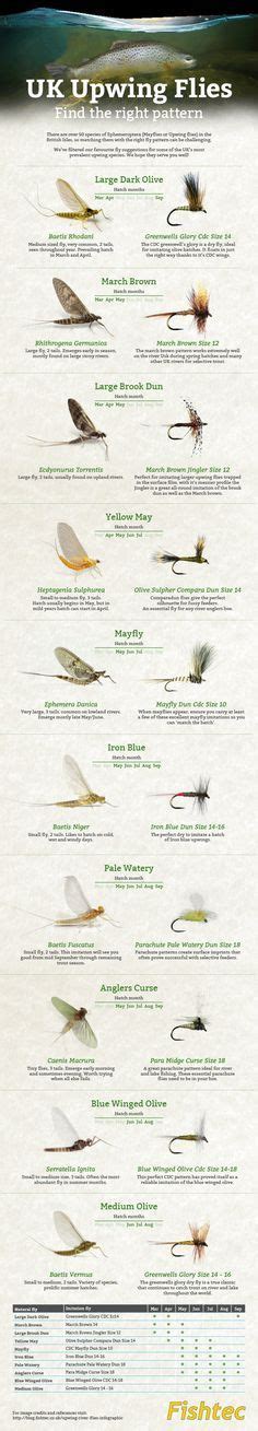 fly fishing infographic upwing flies uk flyfishing fly fishing fly fishing tips fly tying