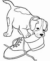 Beagle Coloring Pages Shoe Chewing Kids sketch template