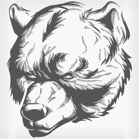 silhouette brown grizzly bear head stencil front view vector drawing