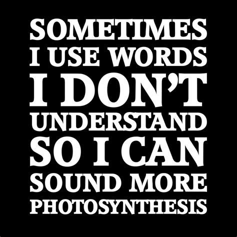 Sometimes I Use Words I Don T Understand T Shirt Geekytees