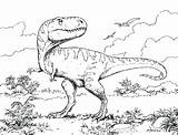 Allosaurus Coloring Pages Getcolorings Printable Color sketch template