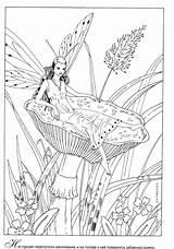Coloring Fairy Mystical Adult Myth Mythical Legend Pages Stress Anti Forest раскраски для взрослых Pixie Printable Coloriage sketch template