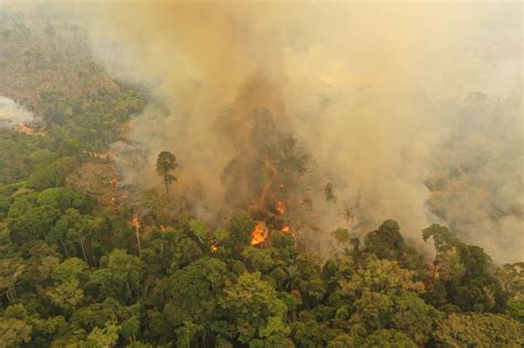 guyana   direct impact  amazon fires cnw network