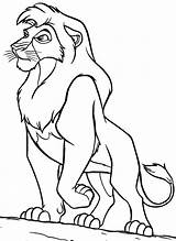 Lion Kovu King Coloring Pages Drawing Color Král Lví Disney Lions Sea Standing Printable Getdrawings Modes Wonderful Omalovánky Marcela sketch template