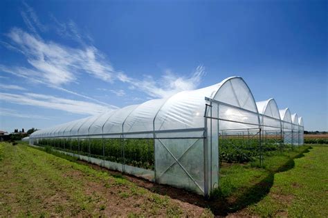 large multi span plastic greenhouse buy multi span greenhouseplastic
