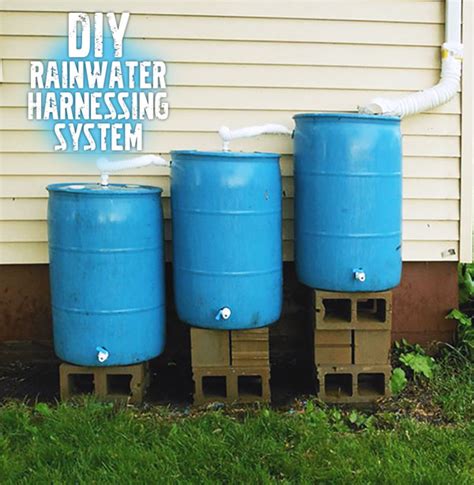 build your own rainwater collecting system garden