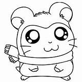 Guinea Pig Coloring Pages Adorable Cute Printable Hamtaro Baby Color Top Drawing Online Strawberry Designlooter Getdrawings Print Toddlers Getcolorings sketch template