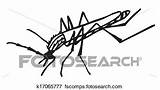 Mosquito Gnat Clipartmag Clipart sketch template